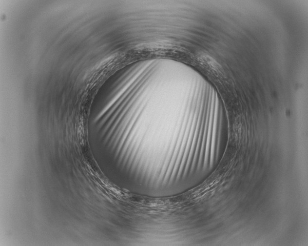 X0000059091062200510281743
