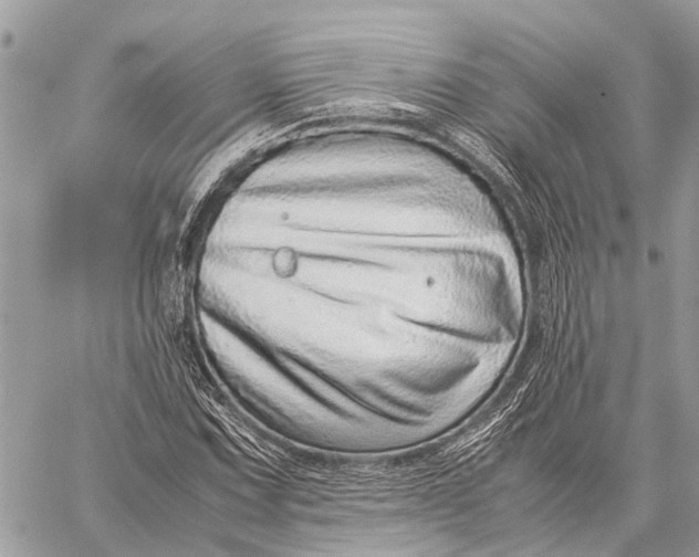 X0000059091067200510281743
