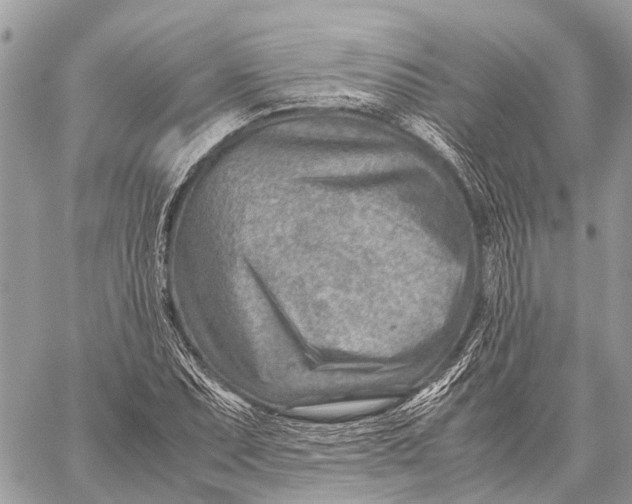 X0000059091071200510281743
