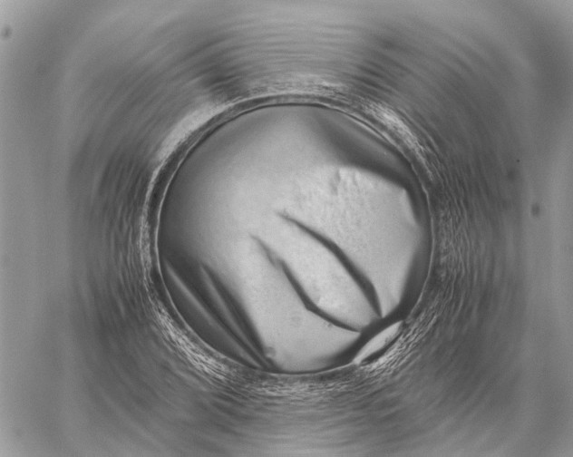 X0000059091072200510281743