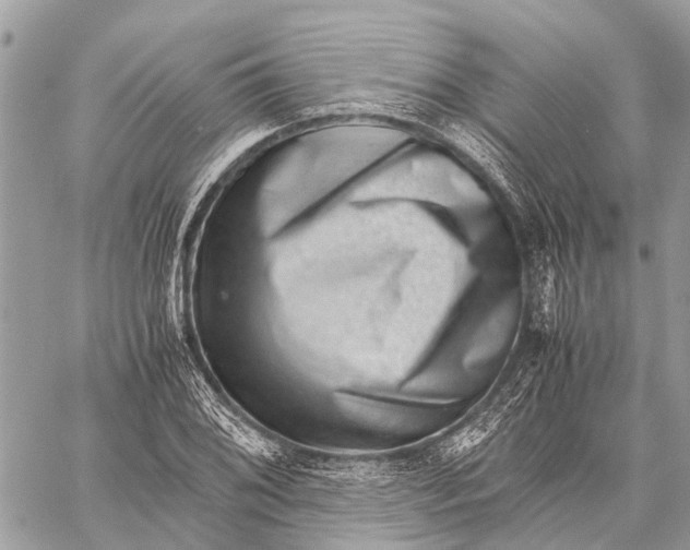 X0000059091076200510281743