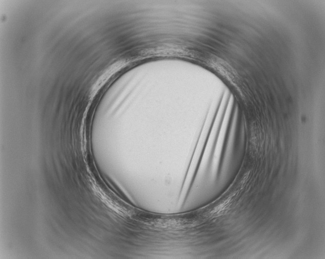 X0000059091082200510281743