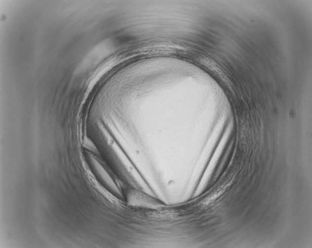 X0000059091083200510281743