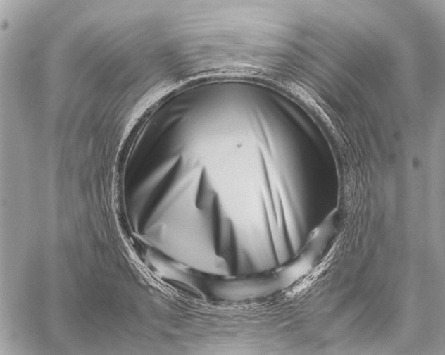 X0000059091085200510281743