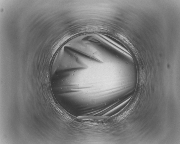 X0000059091089200510281743