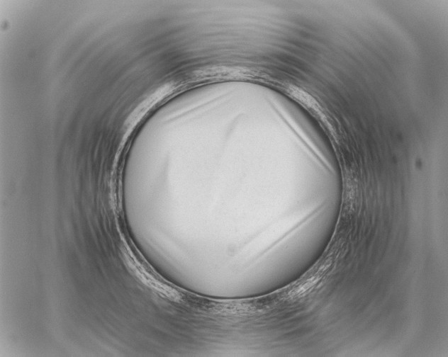 X0000059091090200510281743