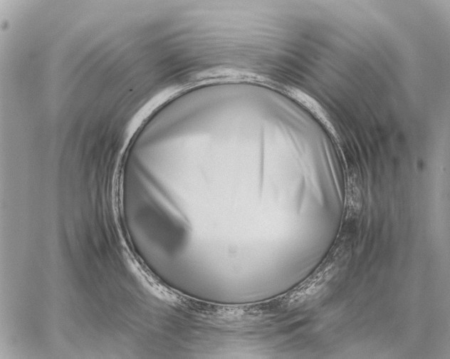 X0000059091098200510281742
