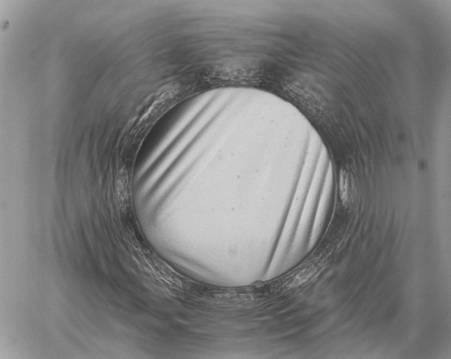X0000059091107200510281742