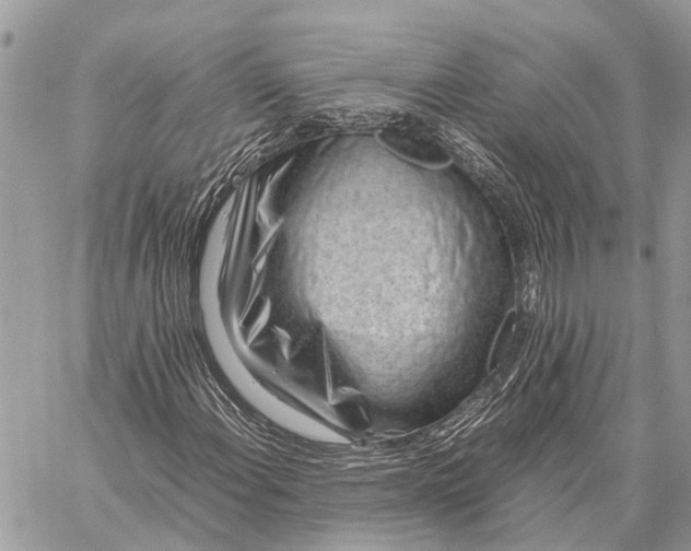 X0000059091108200510281742