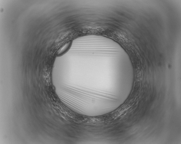 X0000059091109200510281742
