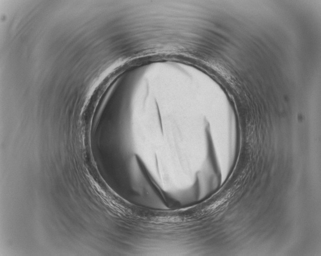 X0000059091118200510281742