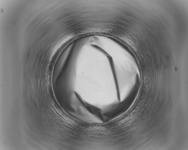 X0000059091119200510281742