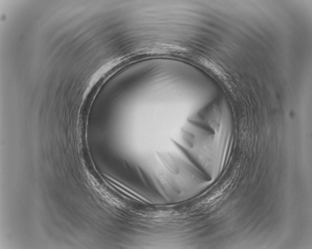 X0000059091122200510281742
