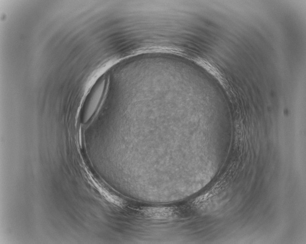 X0000059091127200510281742