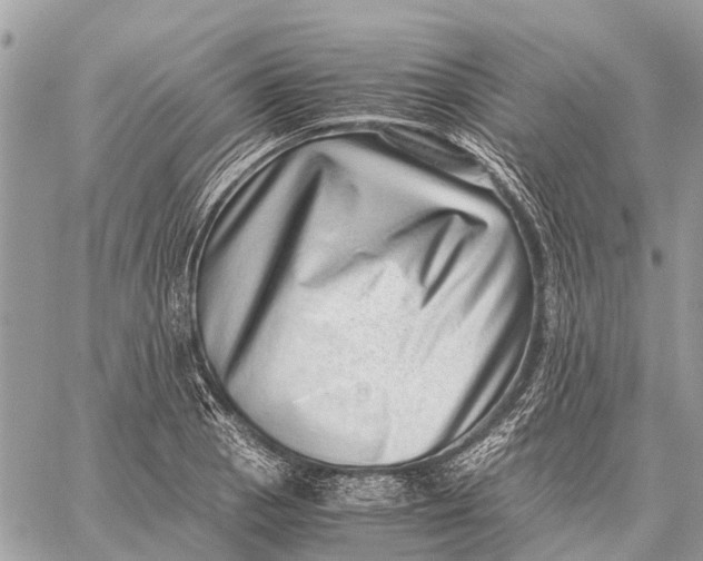 X0000059091129200510281742