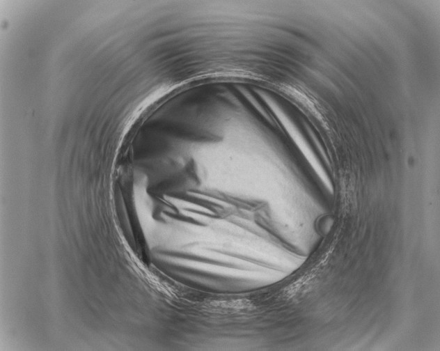 X0000059091133200510281742