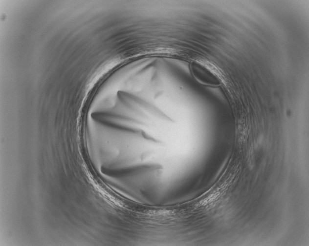 X0000059091135200510281742