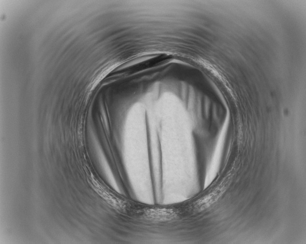 X0000059091137200510281742