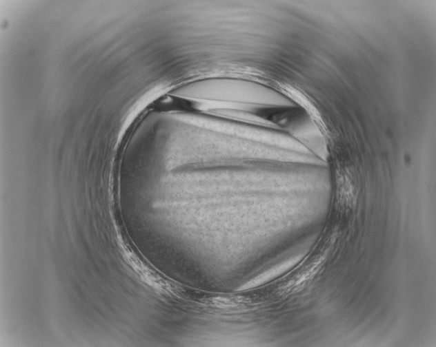 X0000059091138200510281742