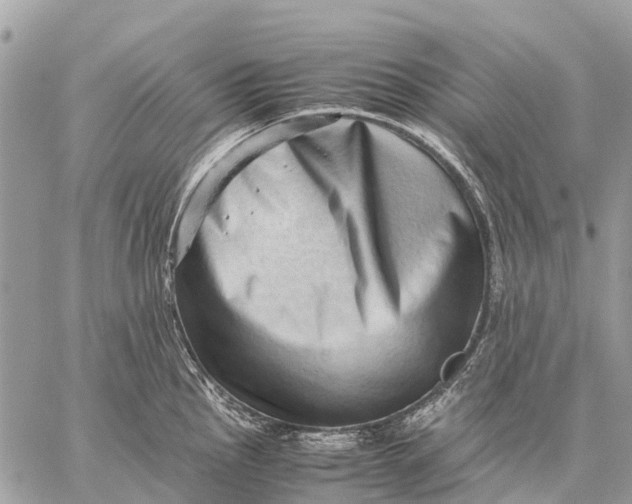 X0000059091145200510281742