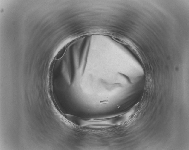 X0000059091147200510281742
