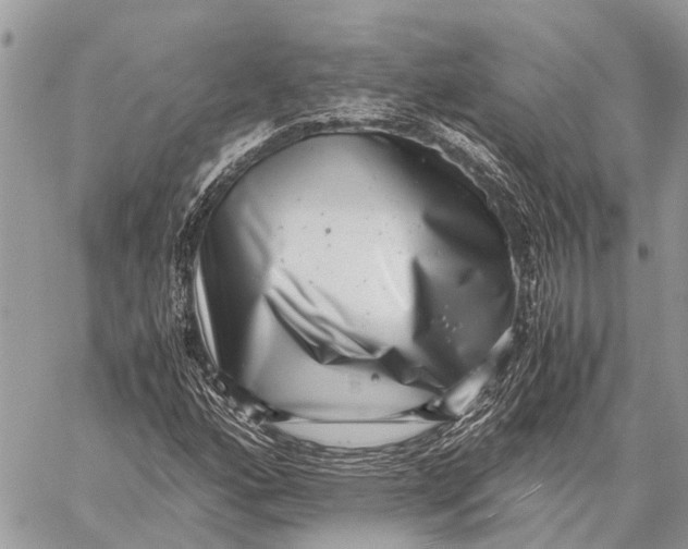 X0000059091160200510281741
