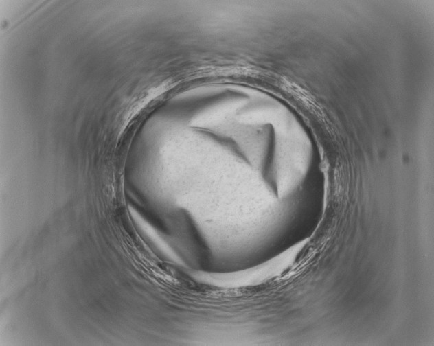 X0000059091165200510281741