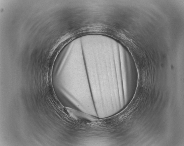 X0000059091166200510281741