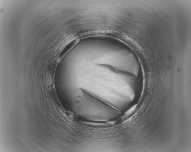 X0000059091169200510281741