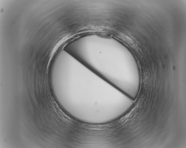 X0000059091172200510281741