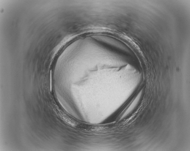 X0000059091175200510281741
