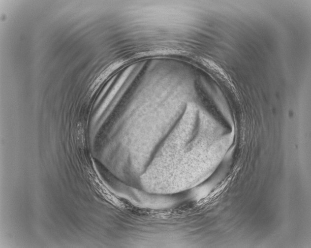 X0000059091177200510281741
