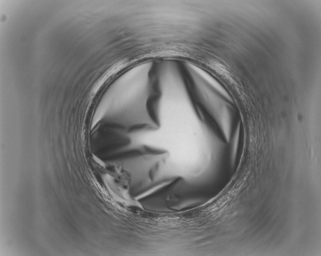 X0000059091181200510281741