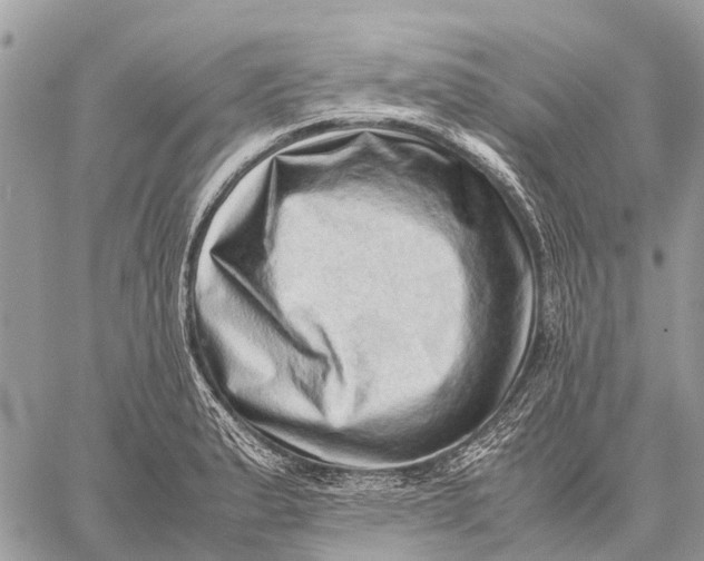 X0000059091183200510281741