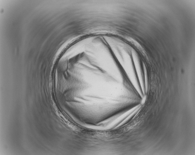 X0000059091191200510281741