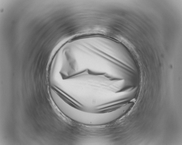X0000059091200200510281741