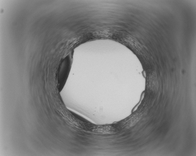 X0000059091201200510281740