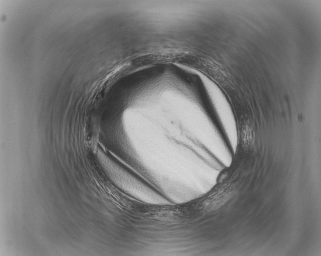 X0000059091204200510281740