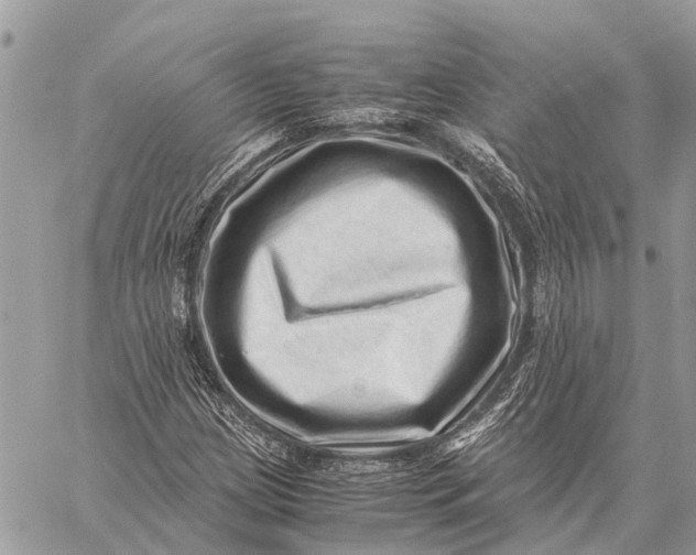 X0000059091209200510281740