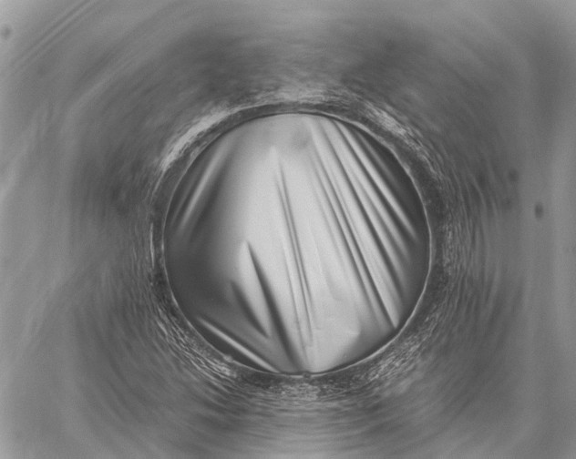 X0000059091214200510281740
