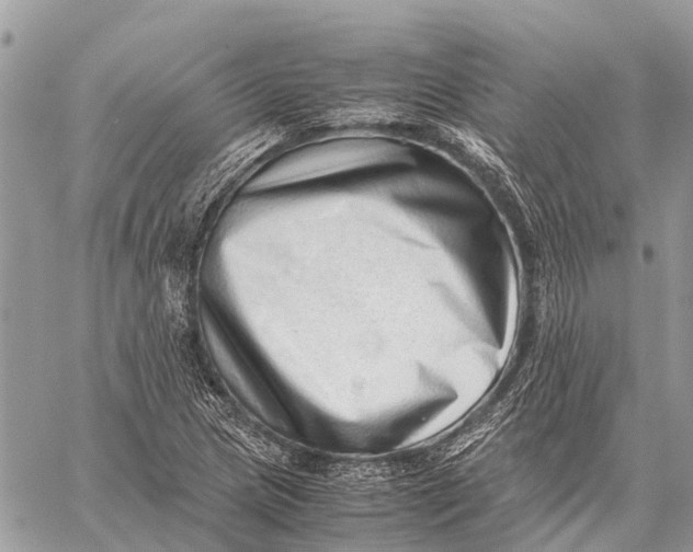X0000059091217200510281740