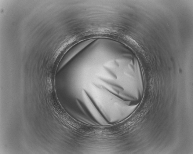 X0000059091218200510281740