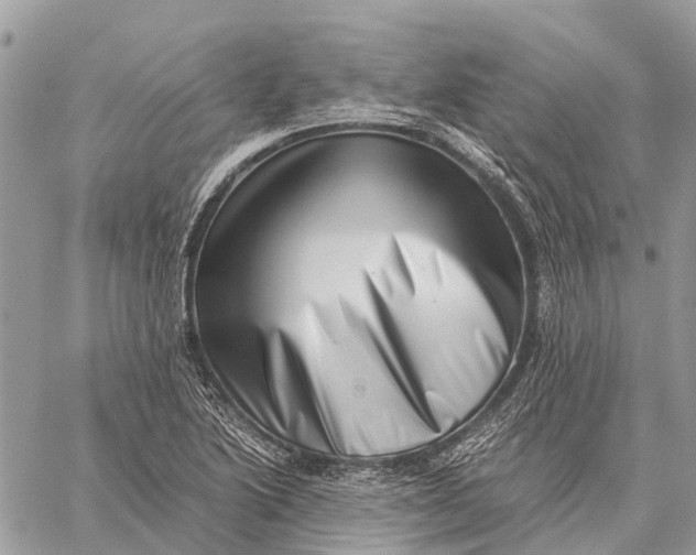 X0000059091222200510281740