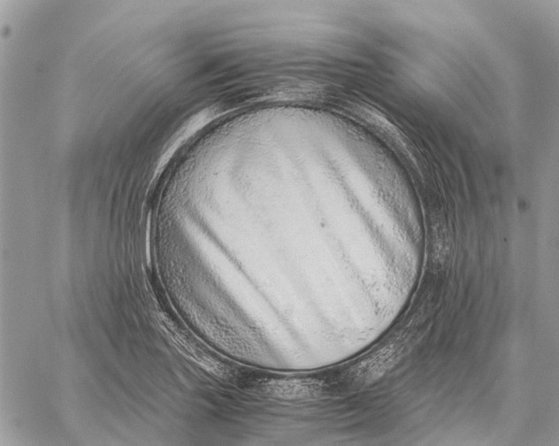 X0000059091227200510281740