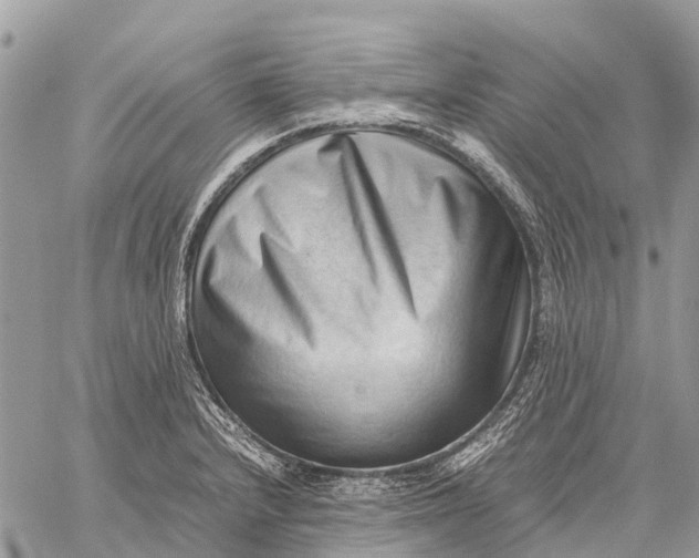 X0000059091232200510281741