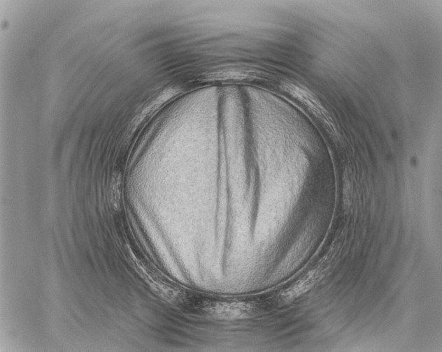 X0000059091233200510281741