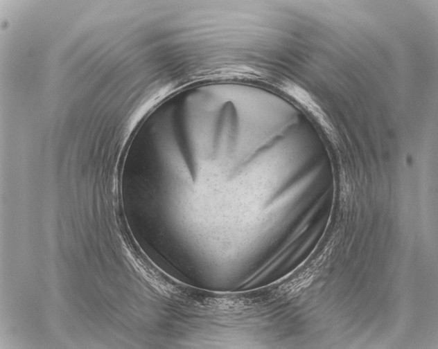 X0000059091234200510281741