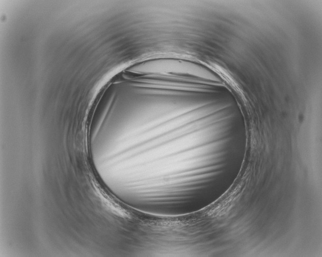 X0000059091238200510281741