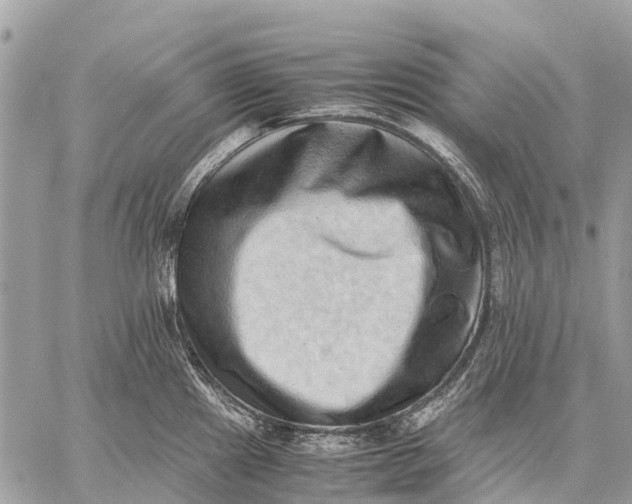X0000059091241200510281741