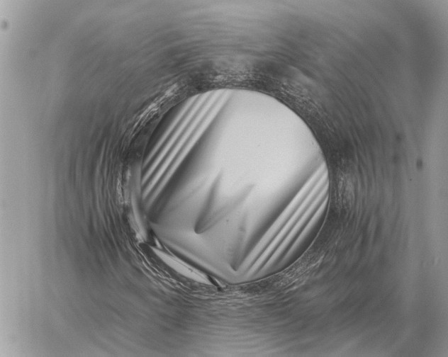 X0000059091250200510281740